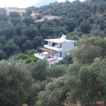 Olive Grove Plakias